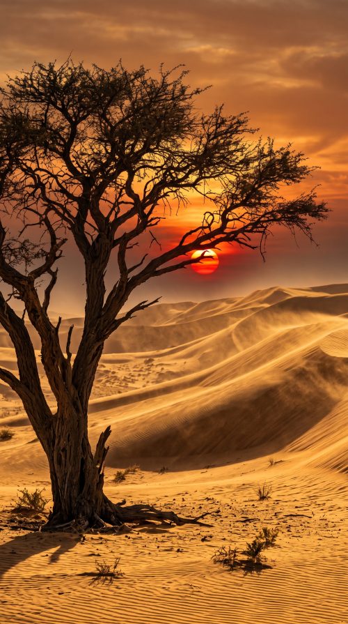 Desert_tree_beside_sand_dunes