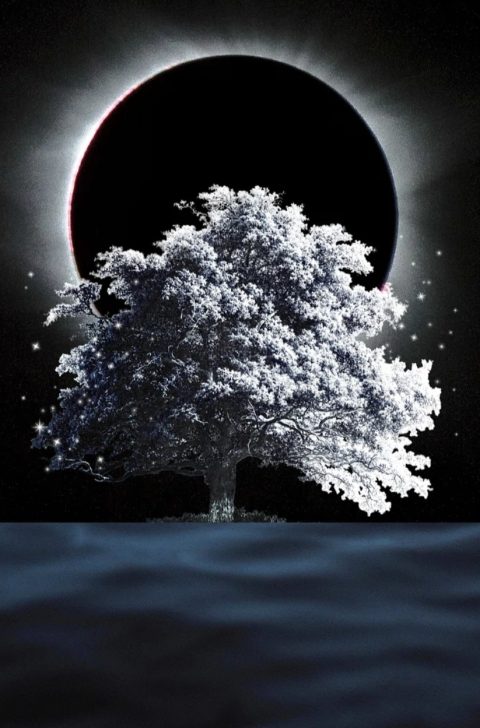 dark