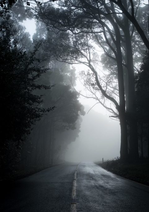 dark