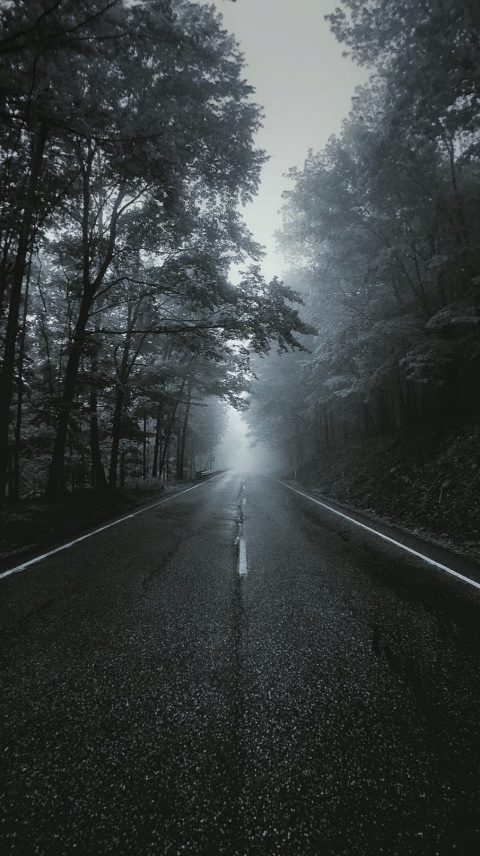 dark