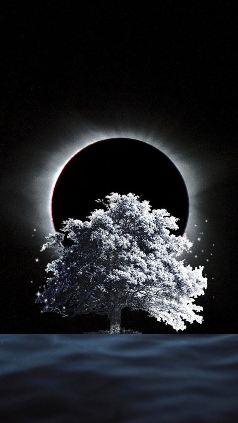 dark
