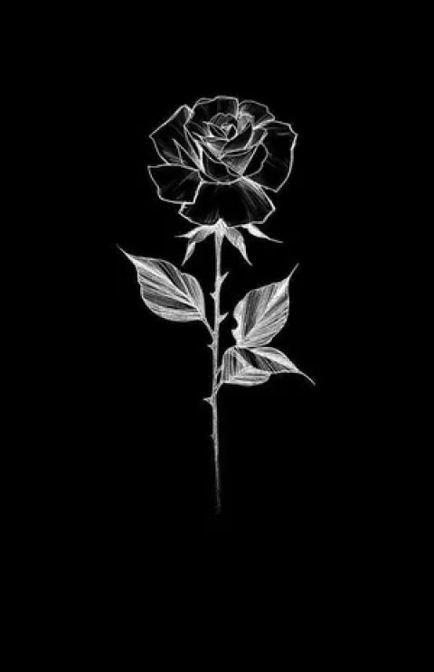 dark