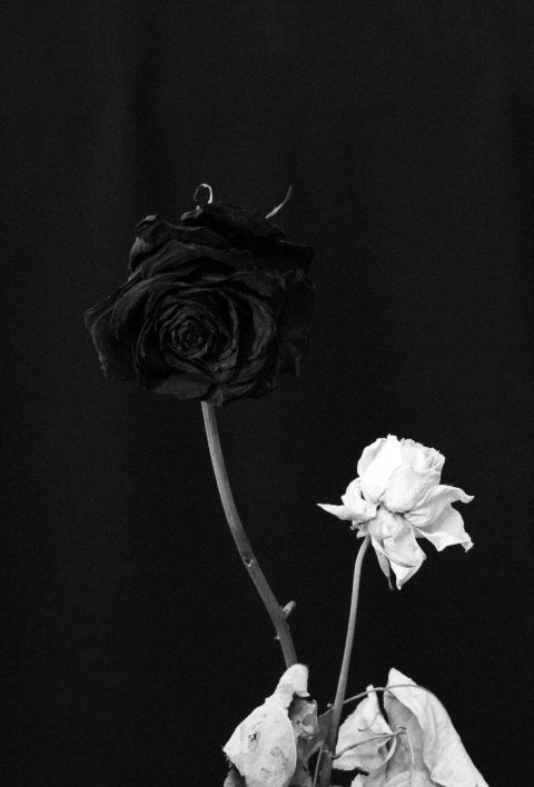 dark