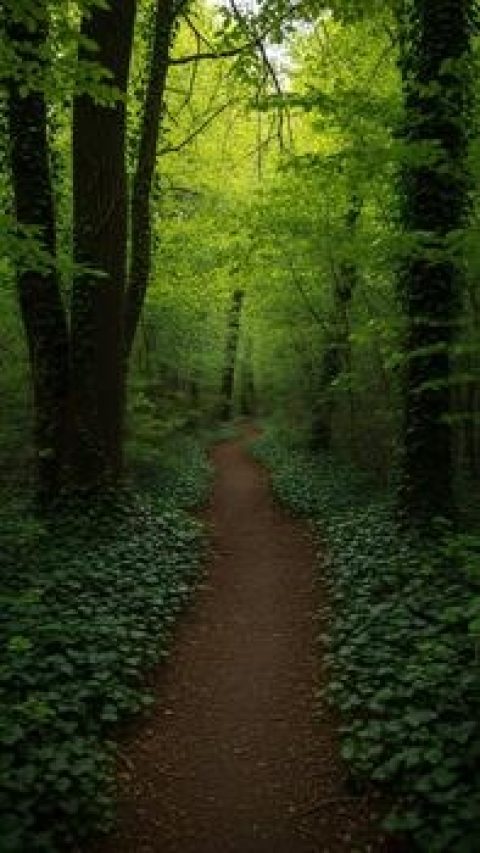 nature