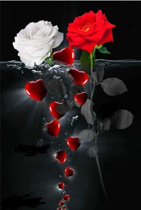 love