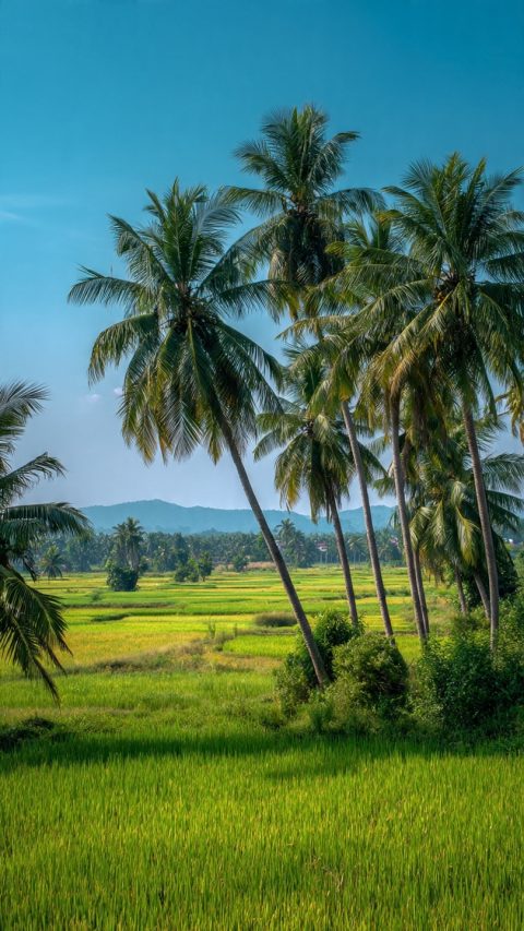 nature