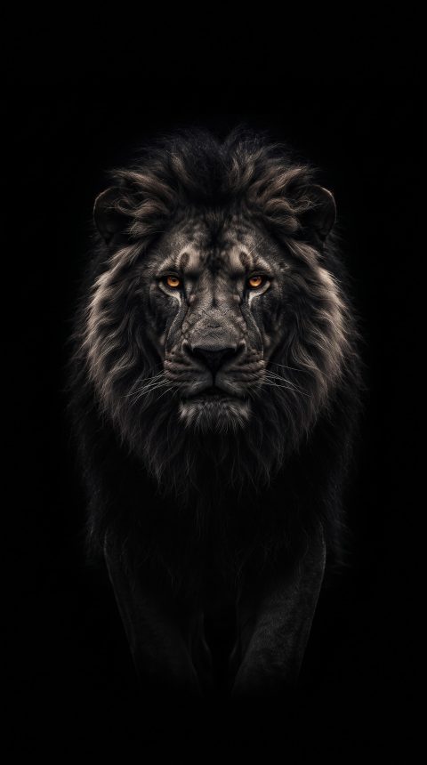 Balck amoled lion wallpaper