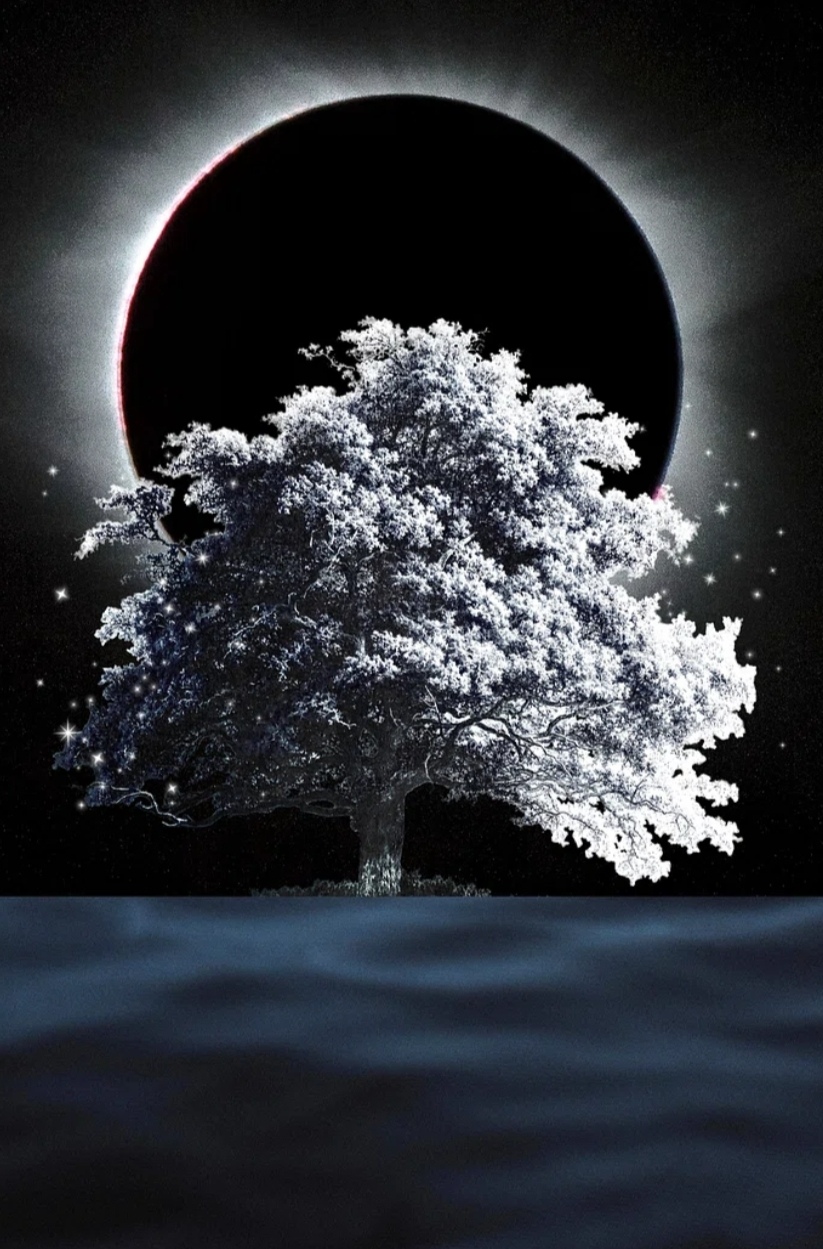 dark