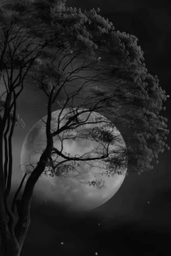 dark