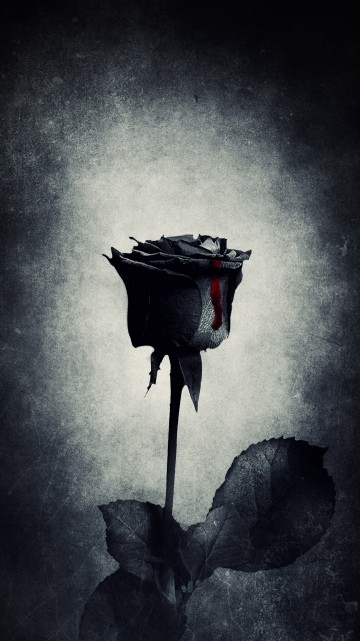 dark