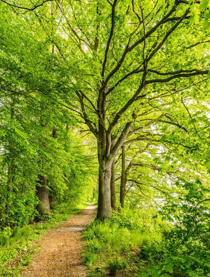 nature
