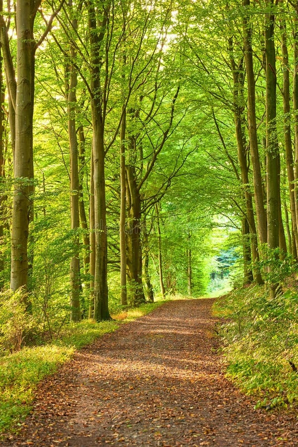 nature