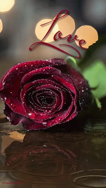 love
